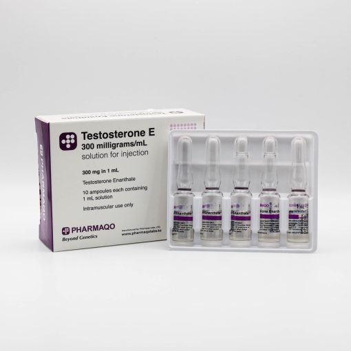 test e 3 1 510x510 1.jpg