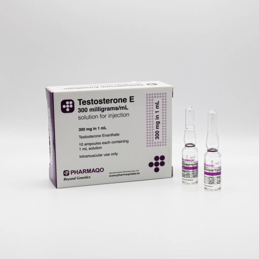 test e 4jpg 1 510x510 1.jpg